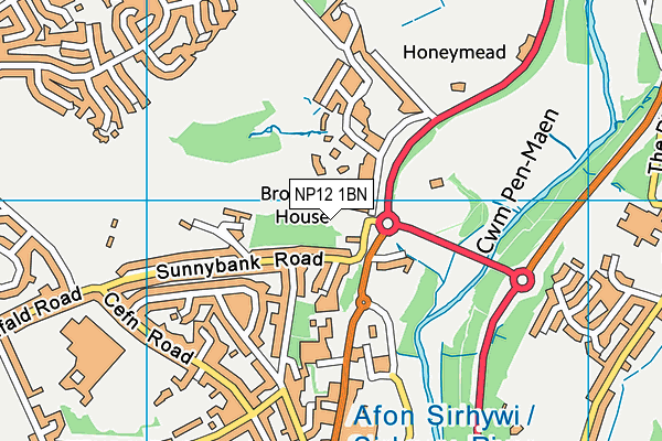 NP12 1BN map - OS VectorMap District (Ordnance Survey)