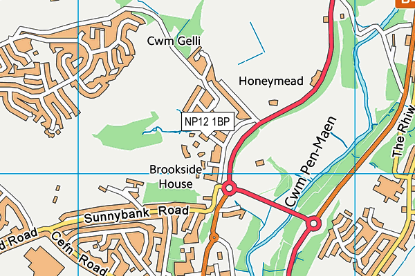 NP12 1BP map - OS VectorMap District (Ordnance Survey)