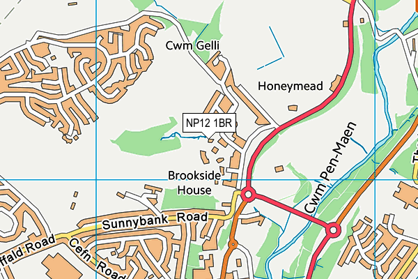 NP12 1BR map - OS VectorMap District (Ordnance Survey)