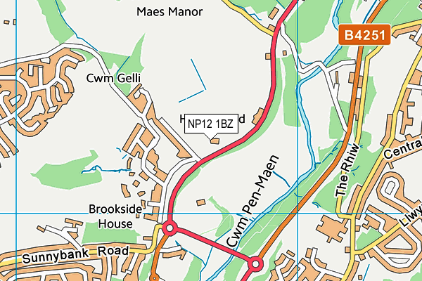 NP12 1BZ map - OS VectorMap District (Ordnance Survey)