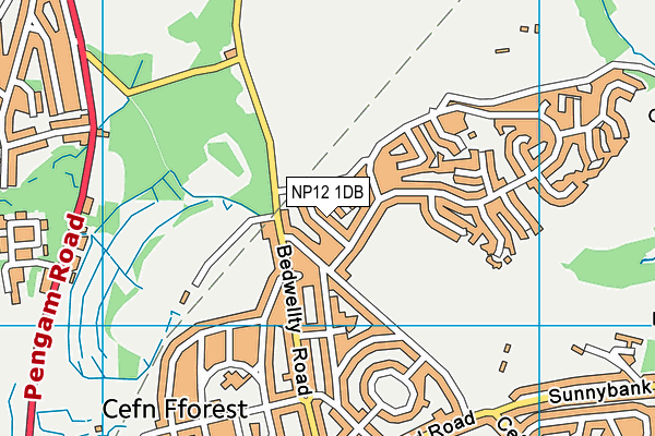 NP12 1DB map - OS VectorMap District (Ordnance Survey)