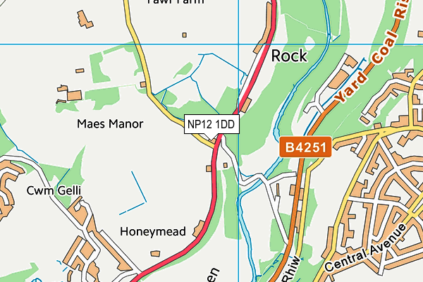 NP12 1DD map - OS VectorMap District (Ordnance Survey)