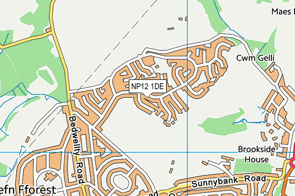 NP12 1DE map - OS VectorMap District (Ordnance Survey)