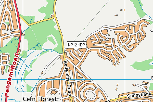 NP12 1DP map - OS VectorMap District (Ordnance Survey)