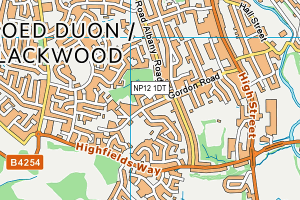 NP12 1DT map - OS VectorMap District (Ordnance Survey)