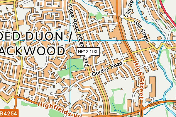 NP12 1DX map - OS VectorMap District (Ordnance Survey)