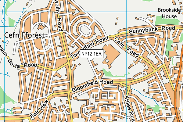 NP12 1ER map - OS VectorMap District (Ordnance Survey)