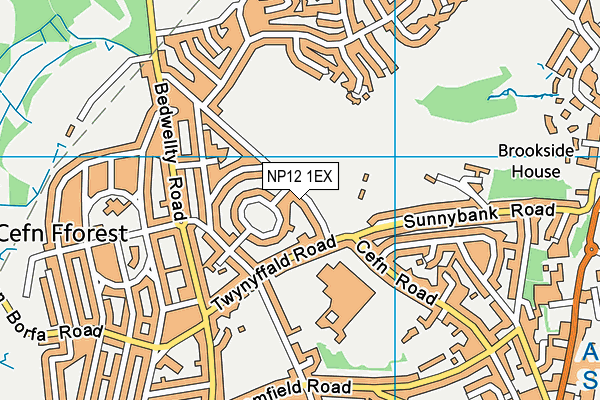 NP12 1EX map - OS VectorMap District (Ordnance Survey)