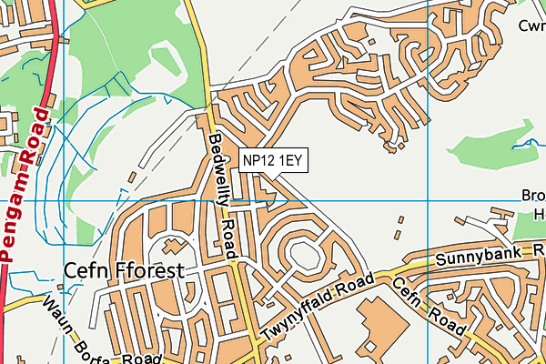 NP12 1EY map - OS VectorMap District (Ordnance Survey)