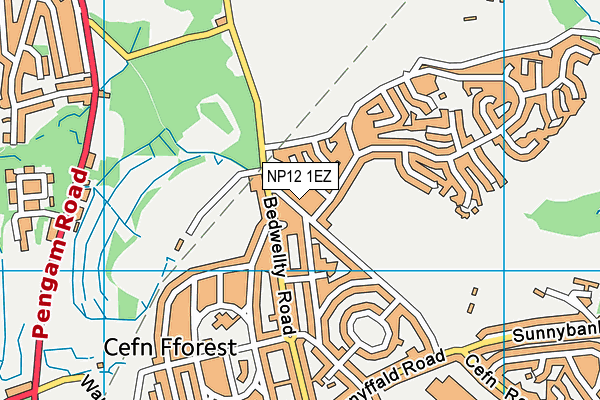 NP12 1EZ map - OS VectorMap District (Ordnance Survey)