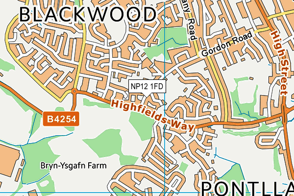 NP12 1FD map - OS VectorMap District (Ordnance Survey)