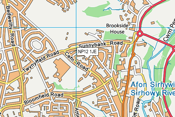 NP12 1JE map - OS VectorMap District (Ordnance Survey)