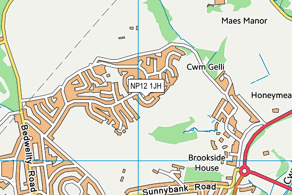 NP12 1JH map - OS VectorMap District (Ordnance Survey)
