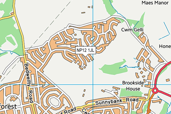 NP12 1JL map - OS VectorMap District (Ordnance Survey)