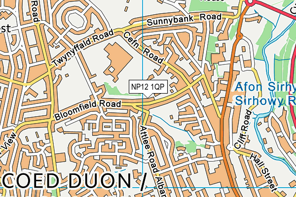 NP12 1QP map - OS VectorMap District (Ordnance Survey)