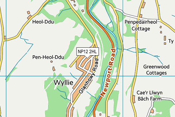 NP12 2HL map - OS VectorMap District (Ordnance Survey)