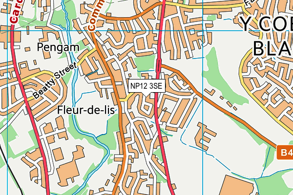 NP12 3SE map - OS VectorMap District (Ordnance Survey)