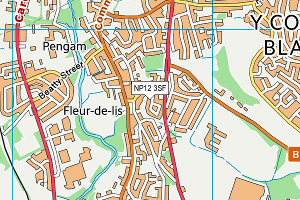 NP12 3SF map - OS VectorMap District (Ordnance Survey)