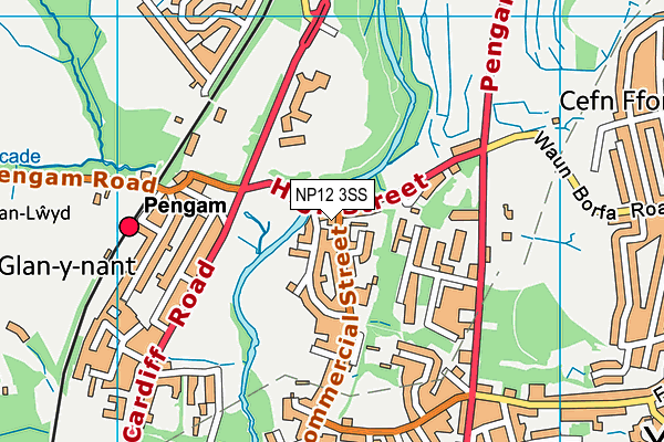 NP12 3SS map - OS VectorMap District (Ordnance Survey)