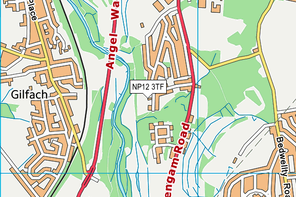NP12 3TF map - OS VectorMap District (Ordnance Survey)