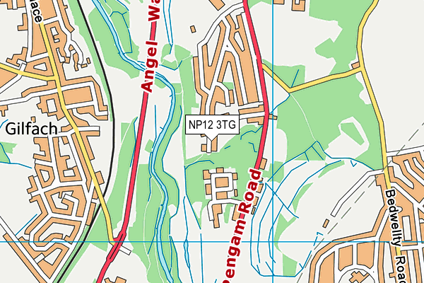 NP12 3TG map - OS VectorMap District (Ordnance Survey)