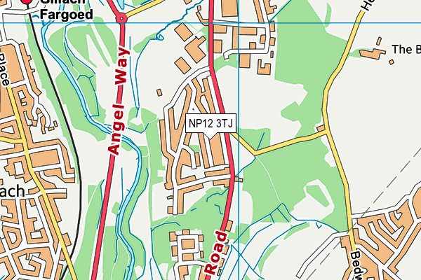 NP12 3TJ map - OS VectorMap District (Ordnance Survey)