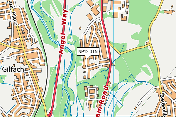 NP12 3TN map - OS VectorMap District (Ordnance Survey)