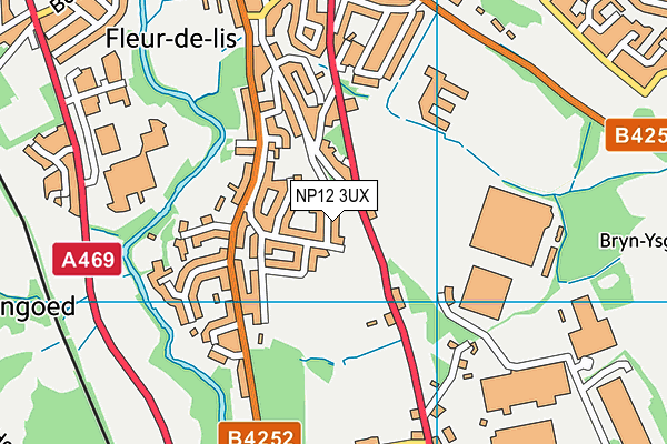 Fleur-De-Lys Primary School map (NP12 3UX) - OS VectorMap District (Ordnance Survey)
