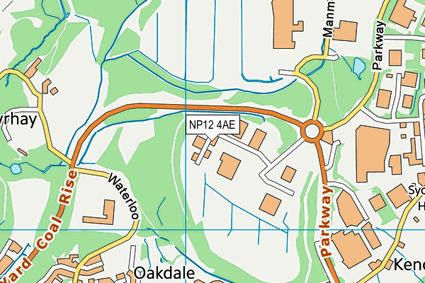 NP12 4AE map - OS VectorMap District (Ordnance Survey)