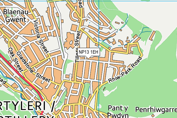 NP13 1EH map - OS VectorMap District (Ordnance Survey)
