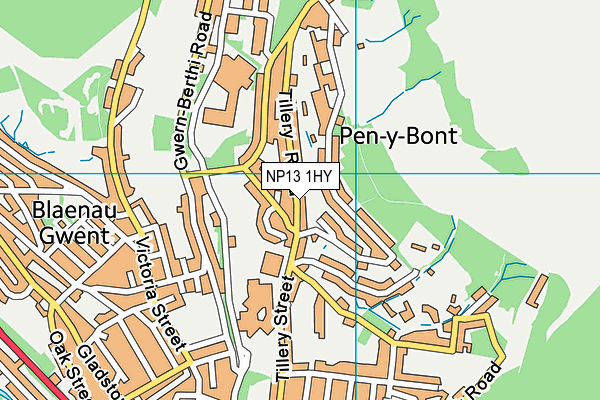 NP13 1HY map - OS VectorMap District (Ordnance Survey)
