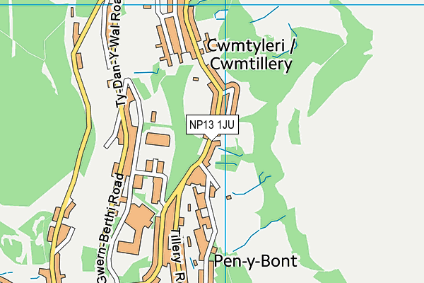 NP13 1JU map - OS VectorMap District (Ordnance Survey)