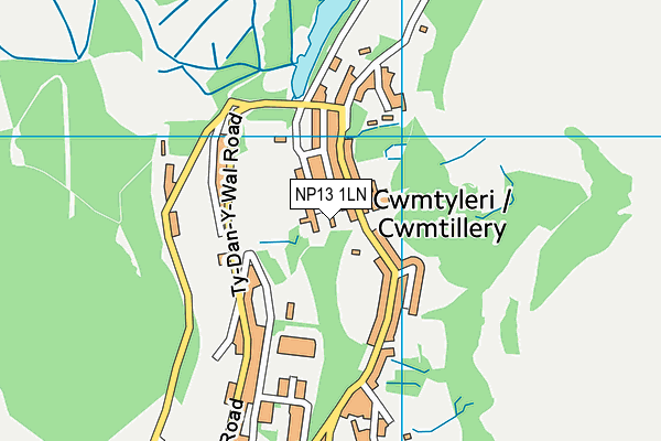 NP13 1LN map - OS VectorMap District (Ordnance Survey)