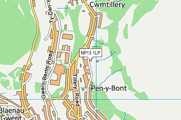 NP13 1LP map - OS VectorMap District (Ordnance Survey)