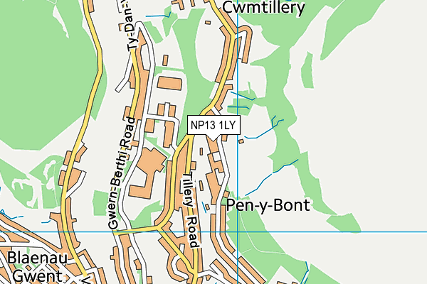 NP13 1LY map - OS VectorMap District (Ordnance Survey)