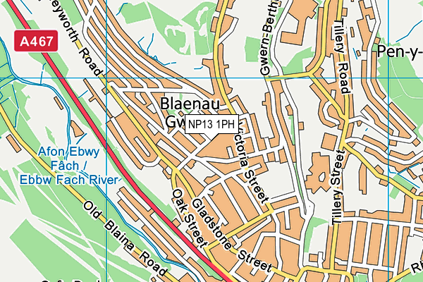 NP13 1PH map - OS VectorMap District (Ordnance Survey)