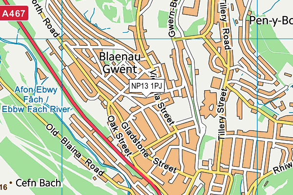 NP13 1PJ map - OS VectorMap District (Ordnance Survey)
