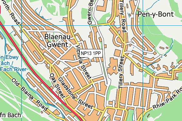 NP13 1PP map - OS VectorMap District (Ordnance Survey)