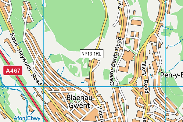 NP13 1RL map - OS VectorMap District (Ordnance Survey)