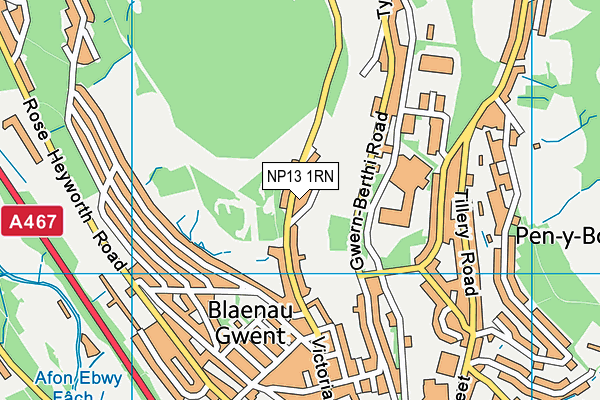 NP13 1RN map - OS VectorMap District (Ordnance Survey)