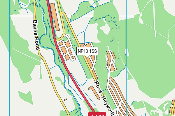 NP13 1SS map - OS VectorMap District (Ordnance Survey)