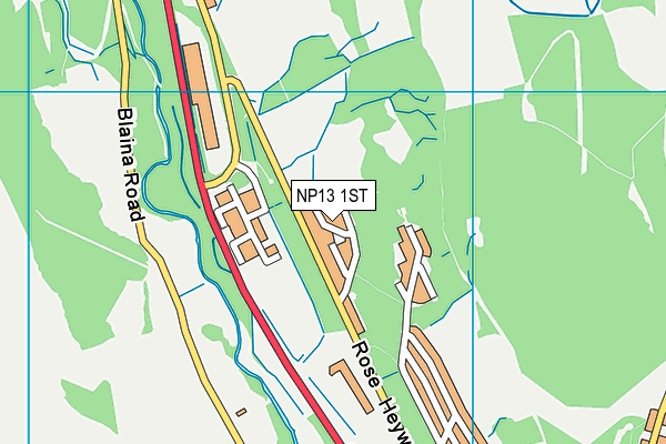 NP13 1ST map - OS VectorMap District (Ordnance Survey)
