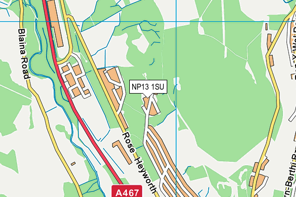 NP13 1SU map - OS VectorMap District (Ordnance Survey)