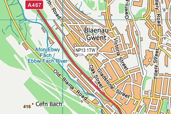 NP13 1TW map - OS VectorMap District (Ordnance Survey)