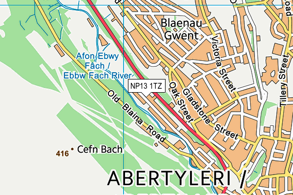 NP13 1TZ map - OS VectorMap District (Ordnance Survey)
