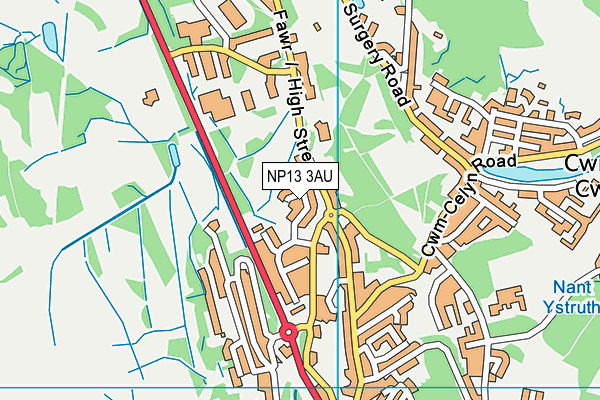 NP13 3AU map - OS VectorMap District (Ordnance Survey)