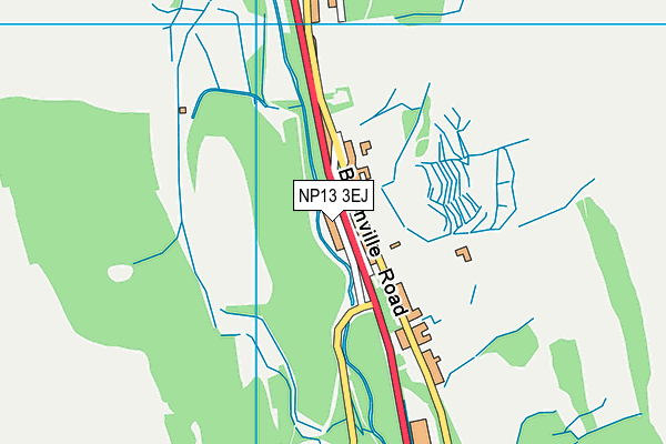 NP13 3EJ map - OS VectorMap District (Ordnance Survey)