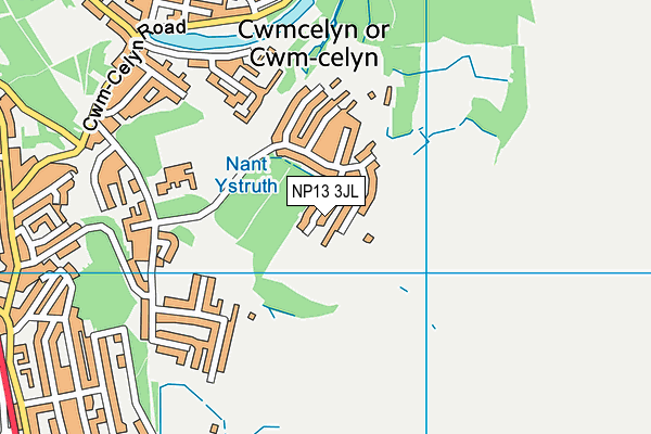 NP13 3JL map - OS VectorMap District (Ordnance Survey)