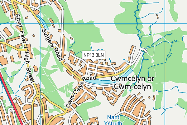 NP13 3LN map - OS VectorMap District (Ordnance Survey)