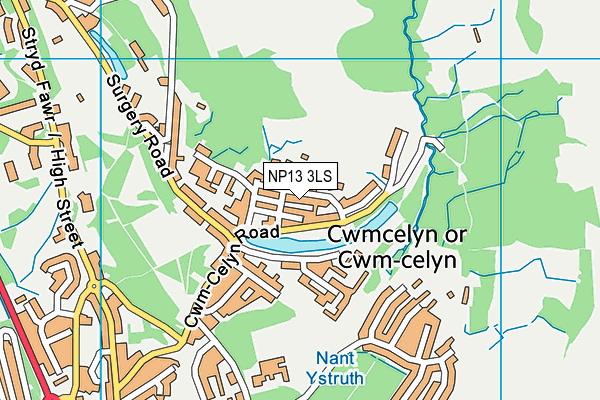 NP13 3LS map - OS VectorMap District (Ordnance Survey)